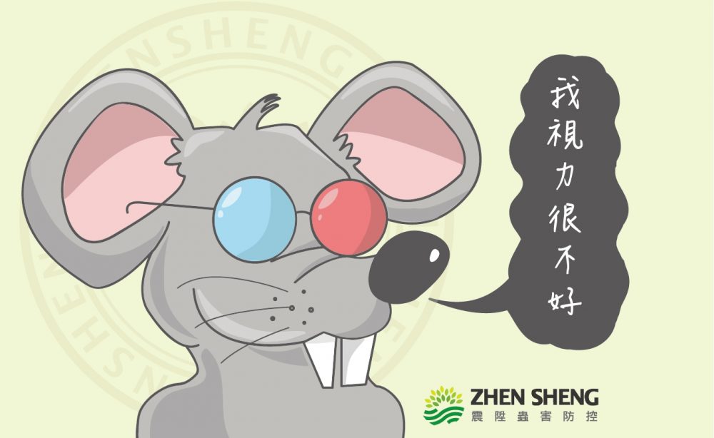 Read more about the article 如何消滅老鼠？驅趕老鼠4步驟教你如何徹底消除鼠害問題