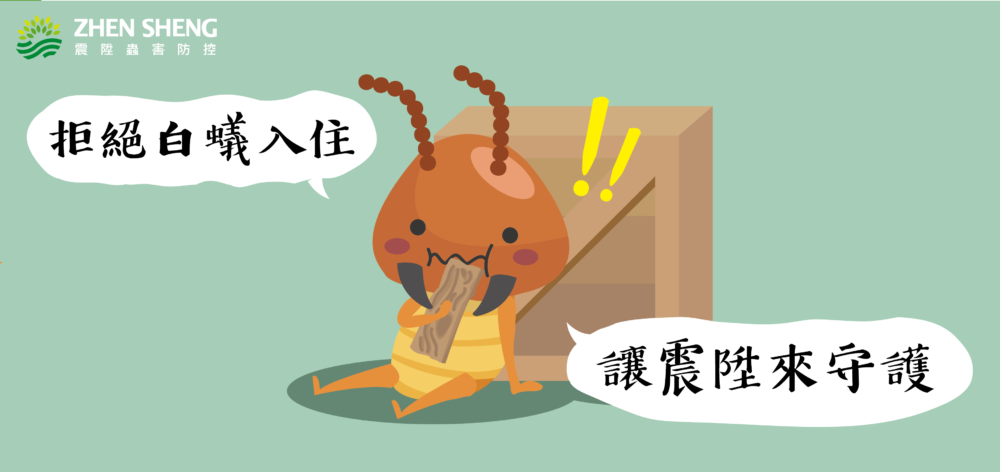 除白蟻｜白蟻防治