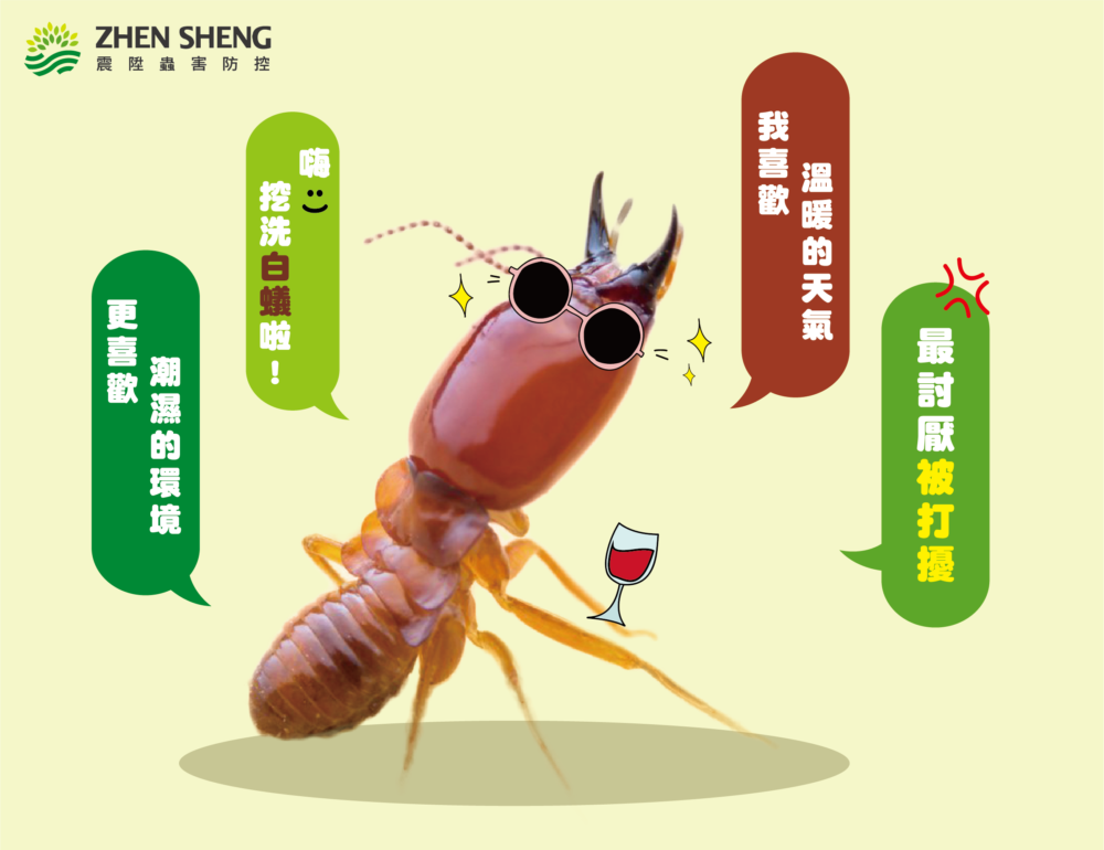 白蟻怕什麼？
