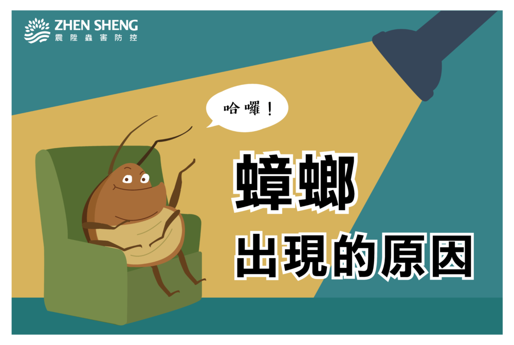 Read more about the article 震陞除蟲專家─蟑螂出現的原因？家裡滅不完的蟑螂原來是從這裡來的！