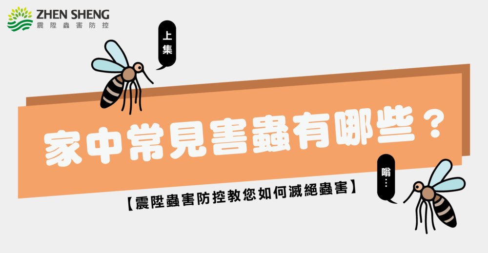 Read more about the article 震陞除蟲專家─消毒知識推薦，家裡常見蟲有哪些？十大常見的居家害蟲及防治方法！