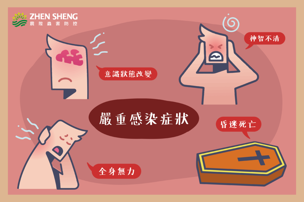 蚊子_日本腦炎懶人包