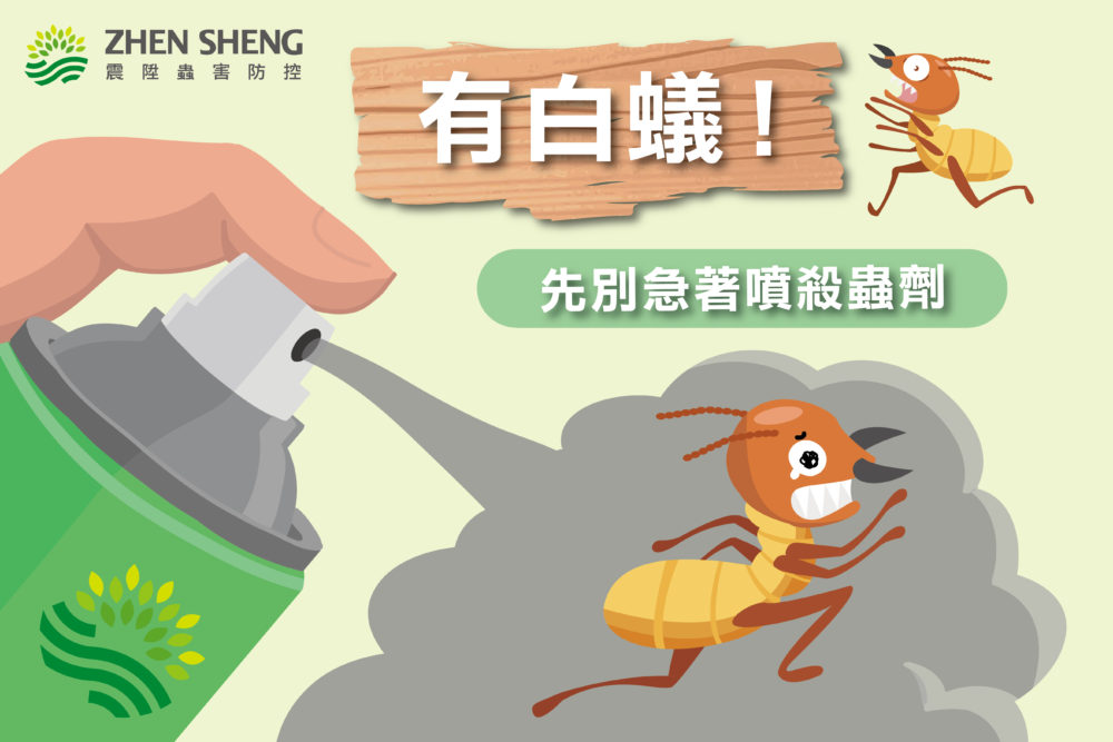 Read more about the article 如何有效根除白蟻？千萬先別急著噴殺蟲劑！