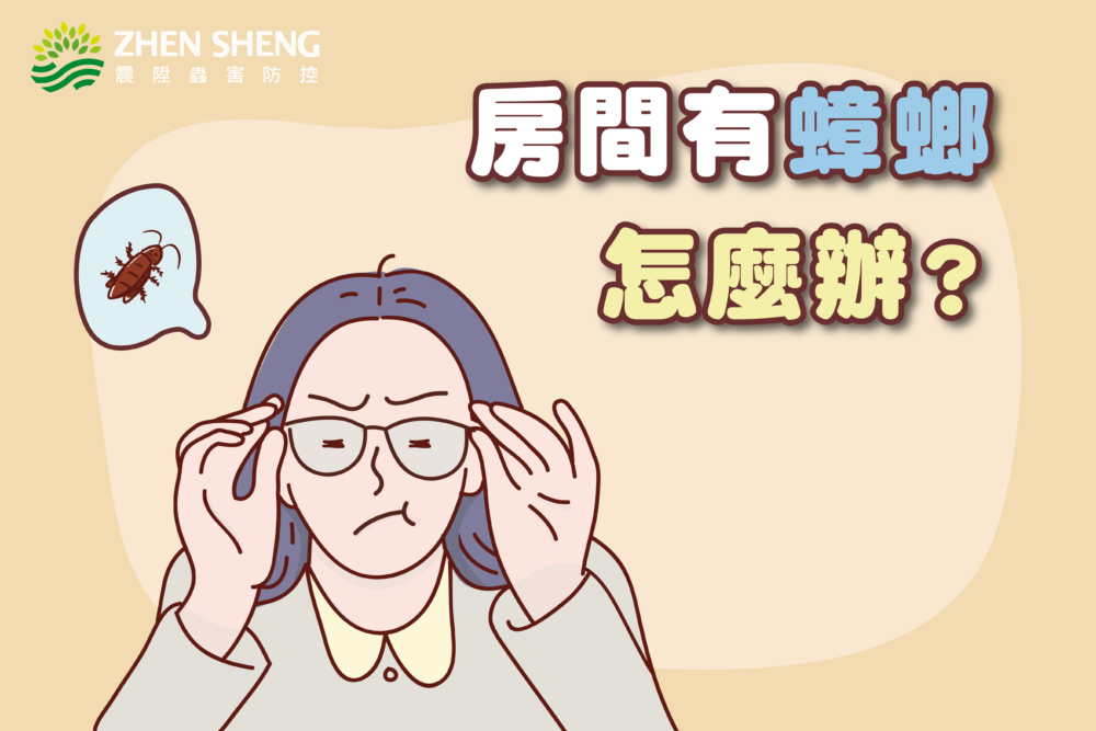 房間有蟑螂怎麼辦？找震陞台中除蟲公司