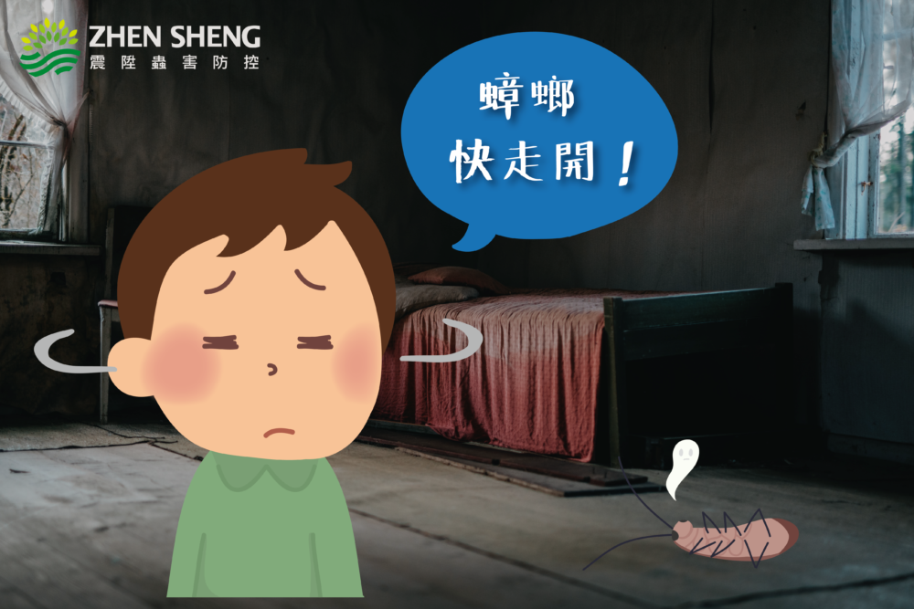 除蟑螂找震陞