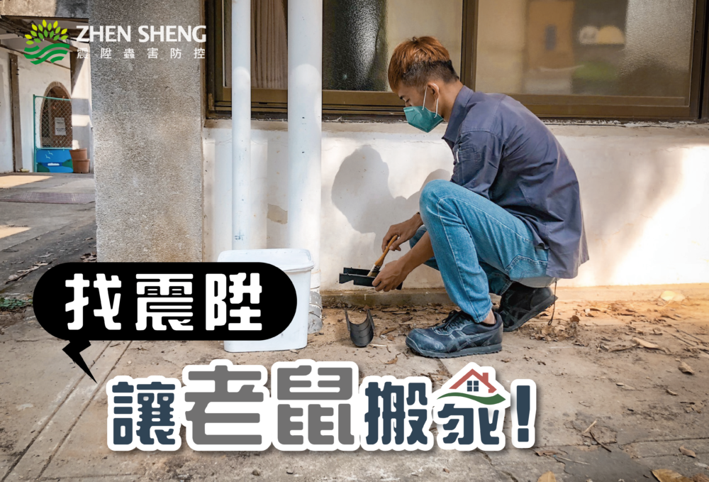 除老鼠找震陞_鼠害防治