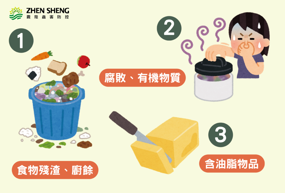 蟑螂喜歡吃什麼？