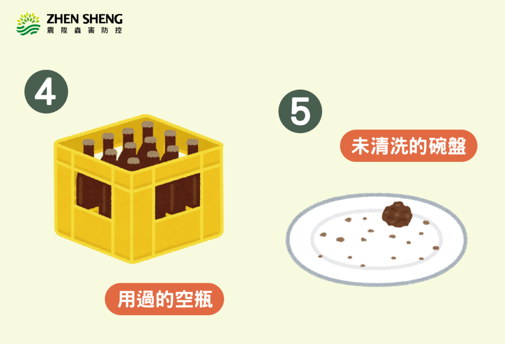 蟑螂喜歡吃什麼