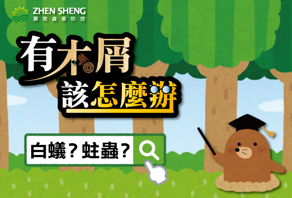 Read more about the article 木屑是白蟻還是蛀蟲造成的跡象？震陞除白蟻專家教你如何辨別