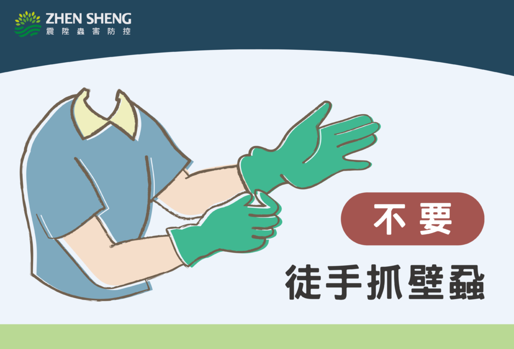 不要徒手抓壁蝨，恐感染傳染疾病