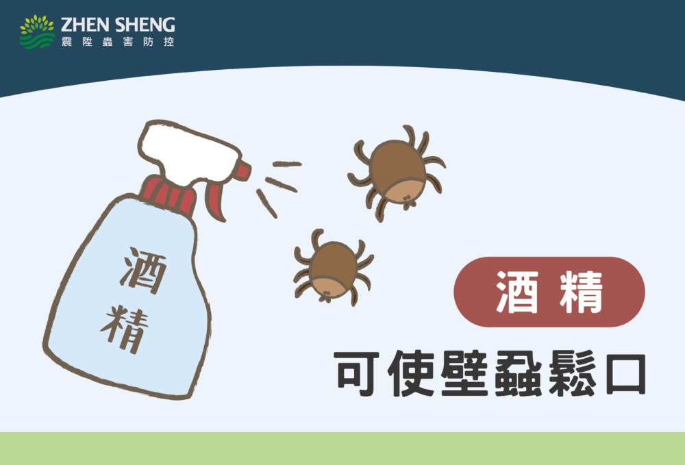 噴灑酒精可使壁蝨鬆口