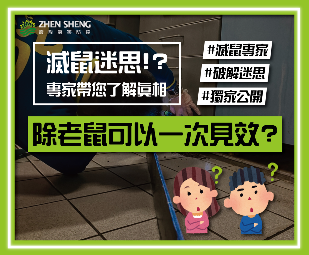 Read more about the article 除老鼠可以一次見效？震陞滅鼠專家帶您破解迷思