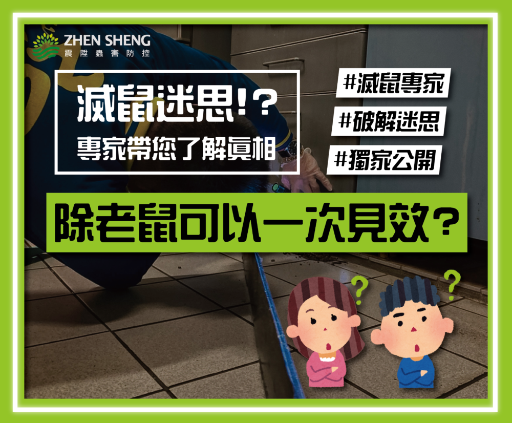 除老鼠可以一次見效？震陞滅鼠專家帶您破解迷思