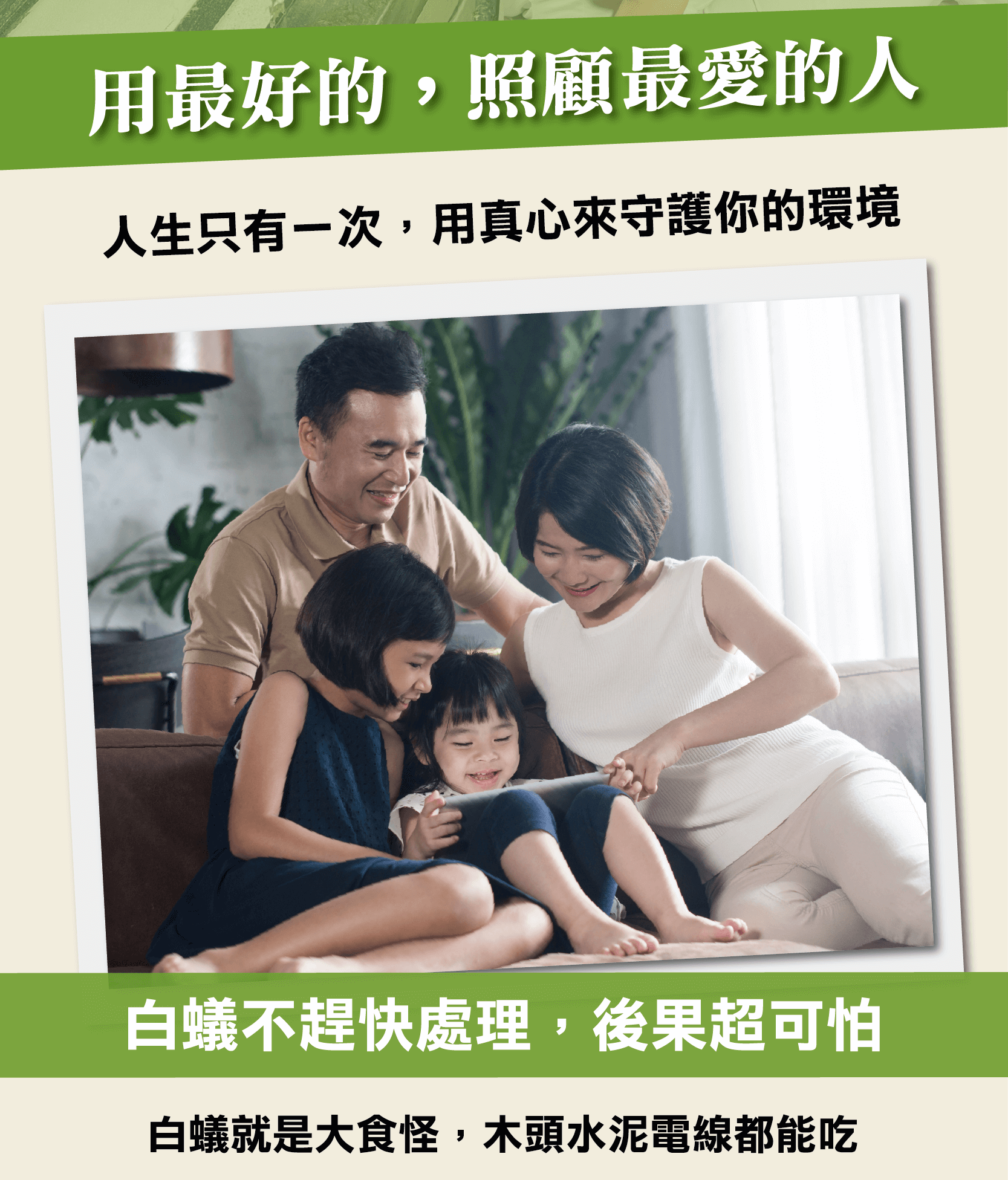 白蟻不趕快處理，後果超可怕