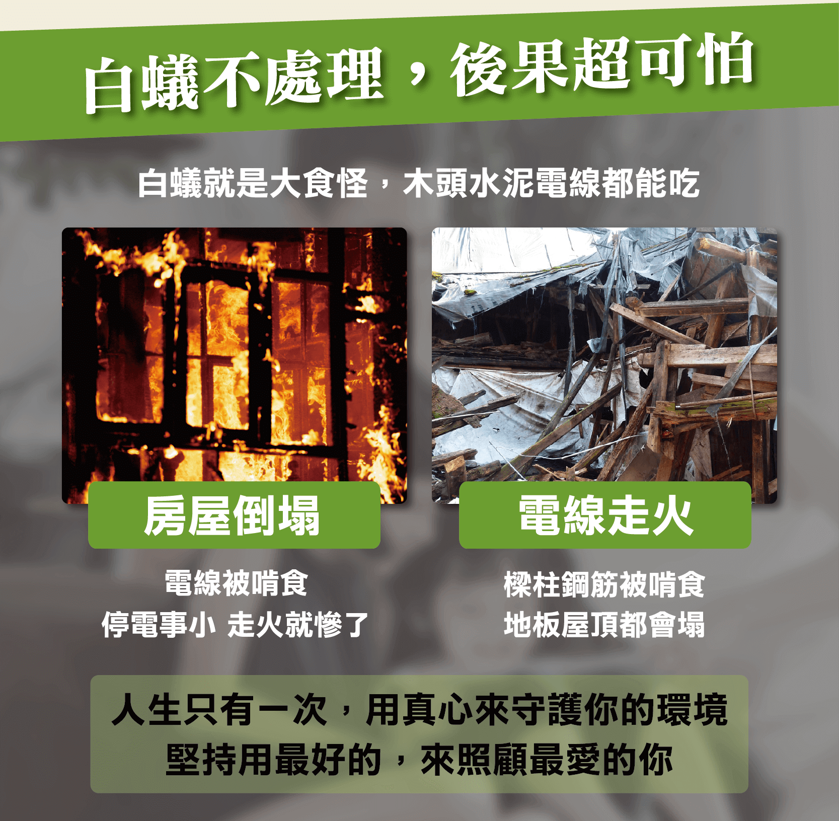 白蟻不停飛、蟻道土堆越來越多、白蟻噴殺蟲劑沒效果、擔心除白蟻藥劑危害健康，震陞蟲害防控幫您克服一切