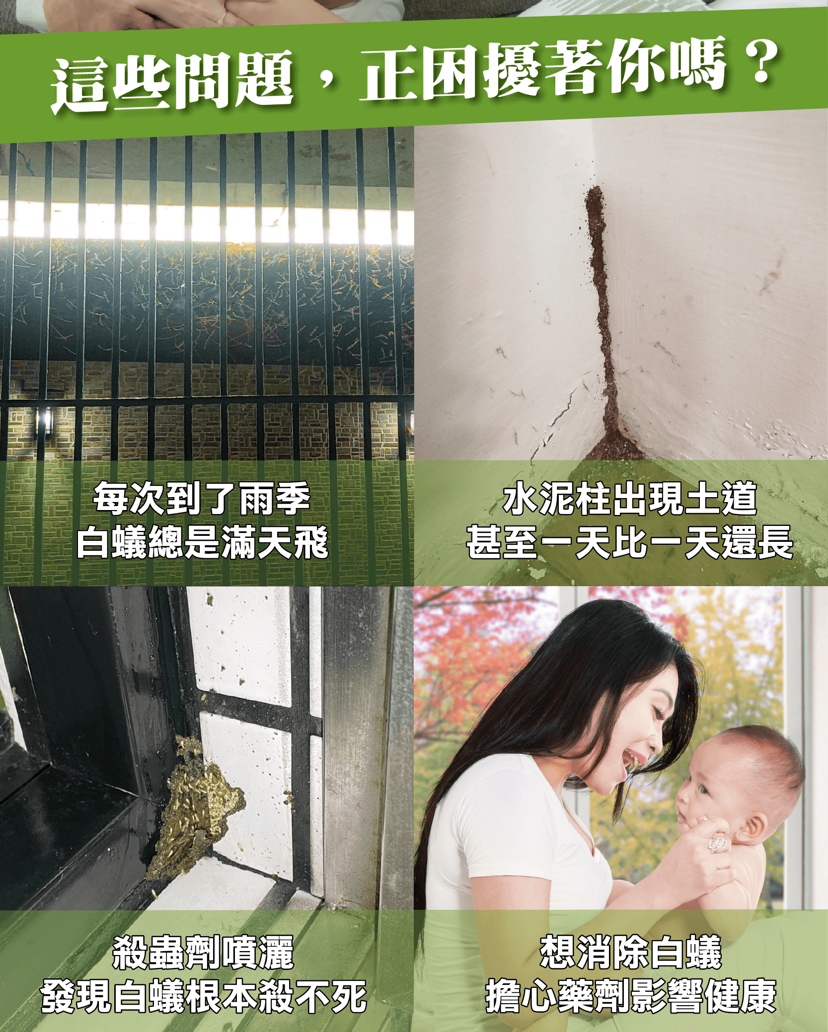 你遇到白蟻的困擾嗎？立即諮詢震陞蟲害防控