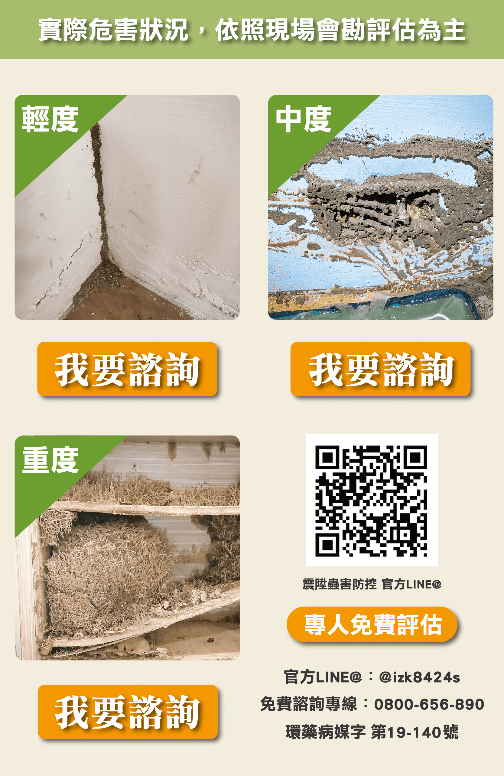 除白蟻費用價格，立即諮詢震陞蟲害防控