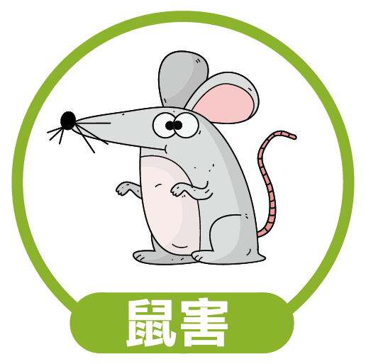 震陞蟲害防控-服務項目_除老鼠殺老鼠消滅老鼠專家