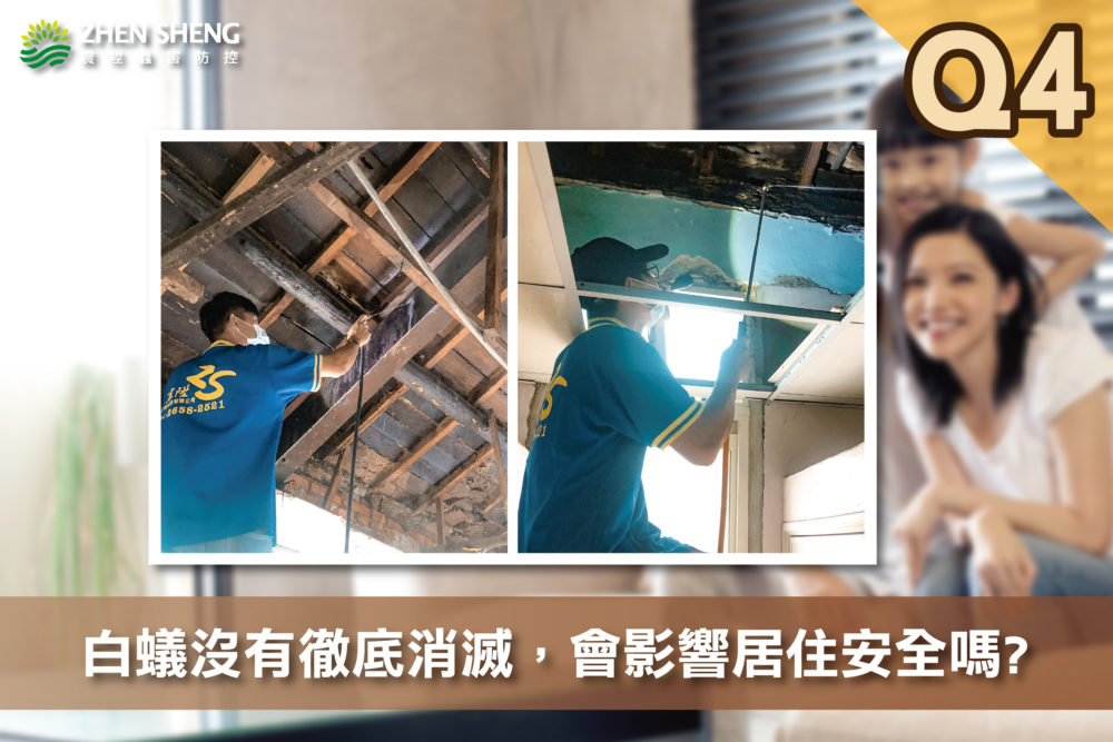 震陞除蟲專家─白蟻知識推薦，消滅白蟻常見問題-請問震陞除蟲專家：白蟻沒有徹底消滅，會影響居住安全嗎?