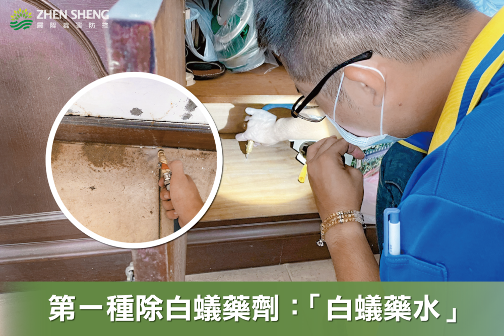 白蟻如何驅除消滅？震陞除蟲專家教你除白蟻藥劑怎麼選，除白蟻藥劑一：除白蟻藥水