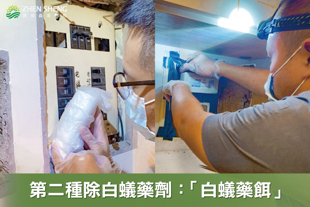 白蟻如何驅除消滅？震陞除蟲專家教你除白蟻藥劑怎麼選，除白蟻藥劑二：除白蟻藥餌