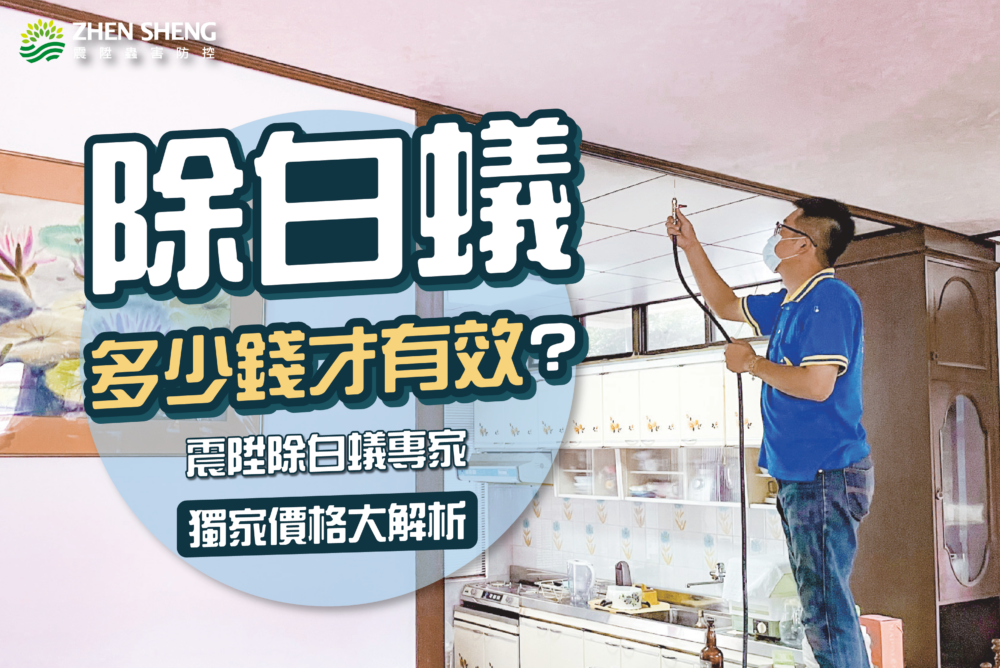Read more about the article 除白蟻要多少錢才有效？震陞除蟲專家獨家除白蟻價格大解析
