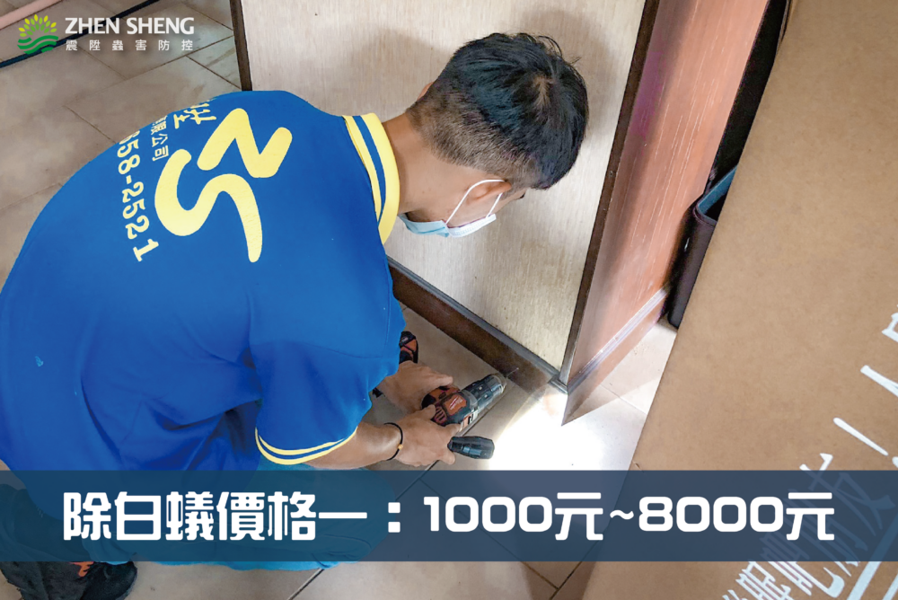 除白蟻要多少錢才有效？震陞除蟲專家獨家除白蟻價格大解析，除蟲價格一1000-8000元