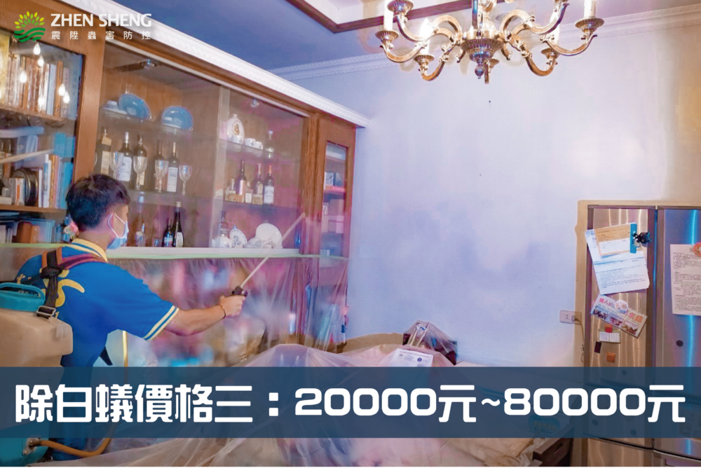 除白蟻要多少錢才有效？震陞除蟲專家獨家除白蟻價格大解析，除蟲價格三20000-80000元