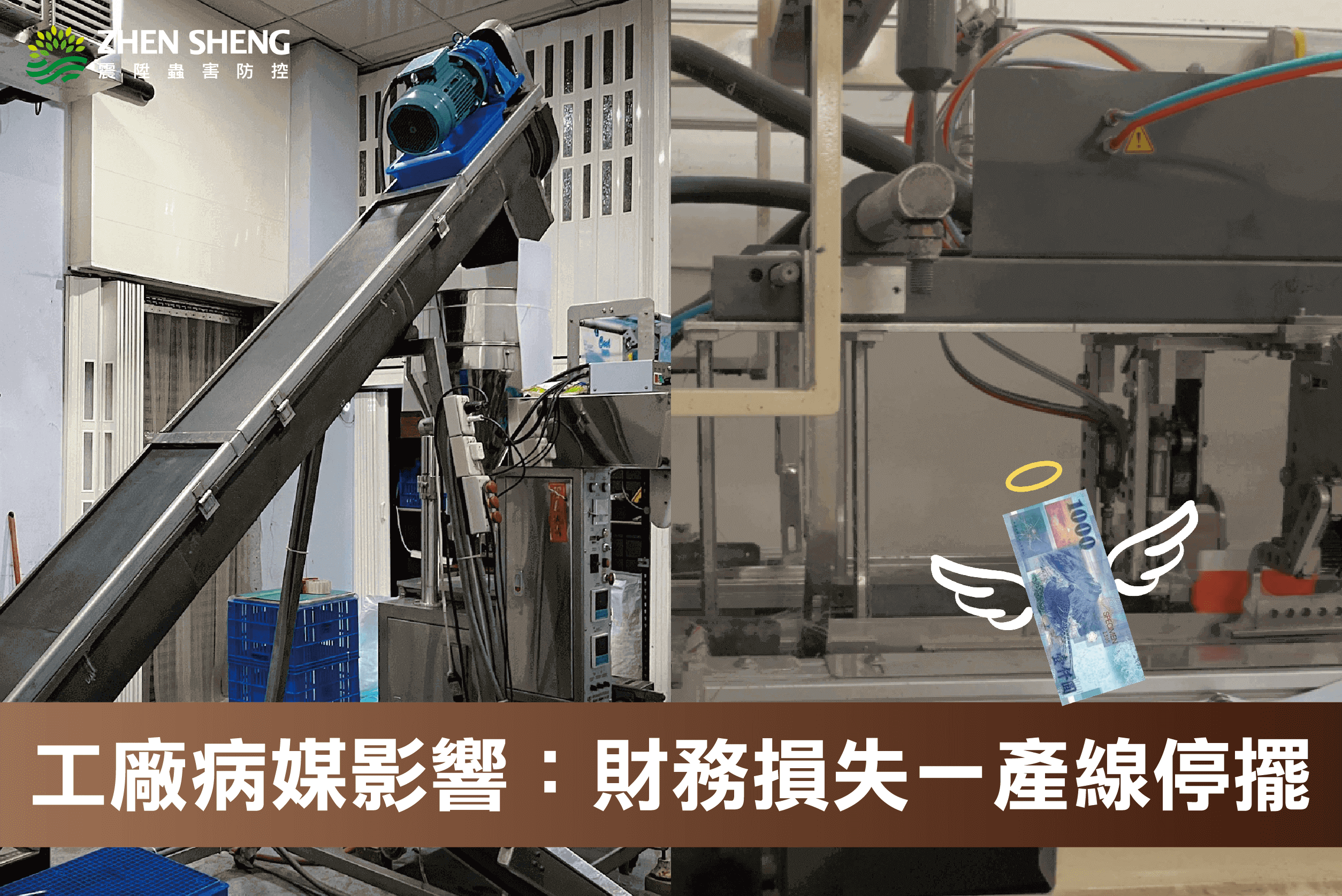 震陞除蟲專家帶你了解工廠消毒常見病媒有哪些？1. 財務損失一產線停擺
