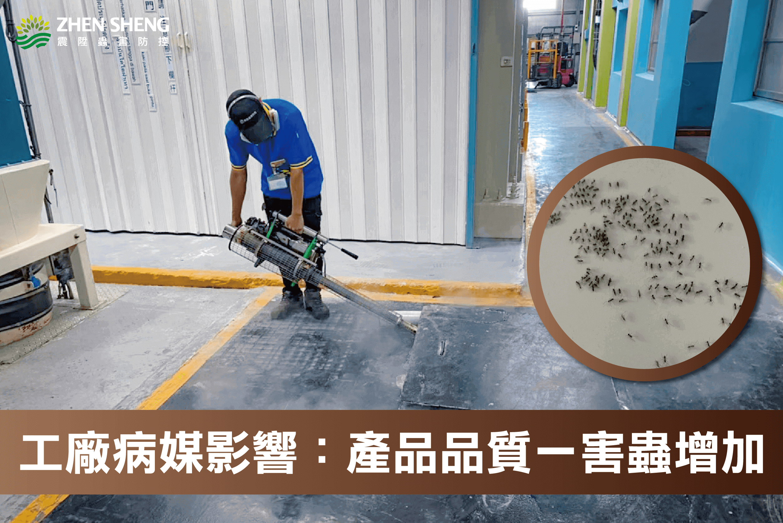 震陞除蟲專家帶你了解工廠消毒常見病媒有哪些？3. 產品品質一害蟲增加