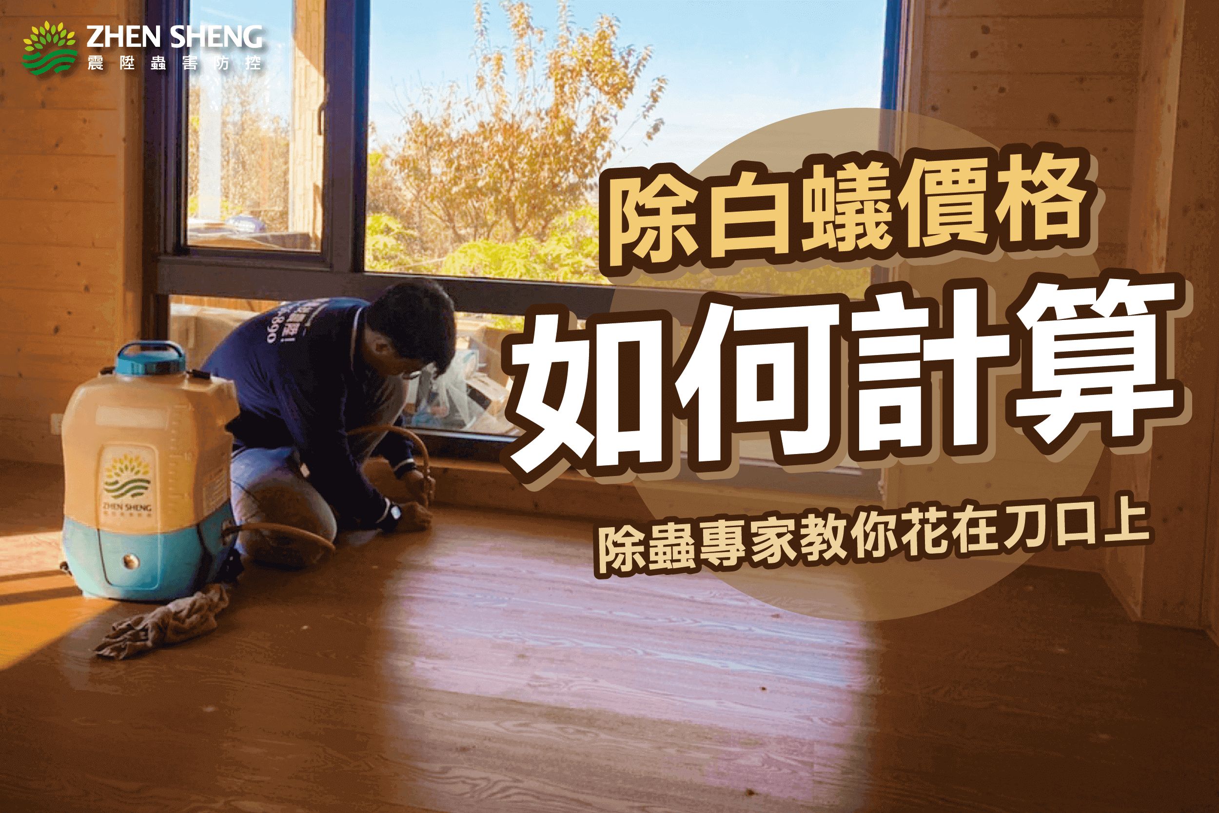 Read more about the article 白蟻消毒價格如何計算？震陞除蟲專家教你3招費用花在刀口上