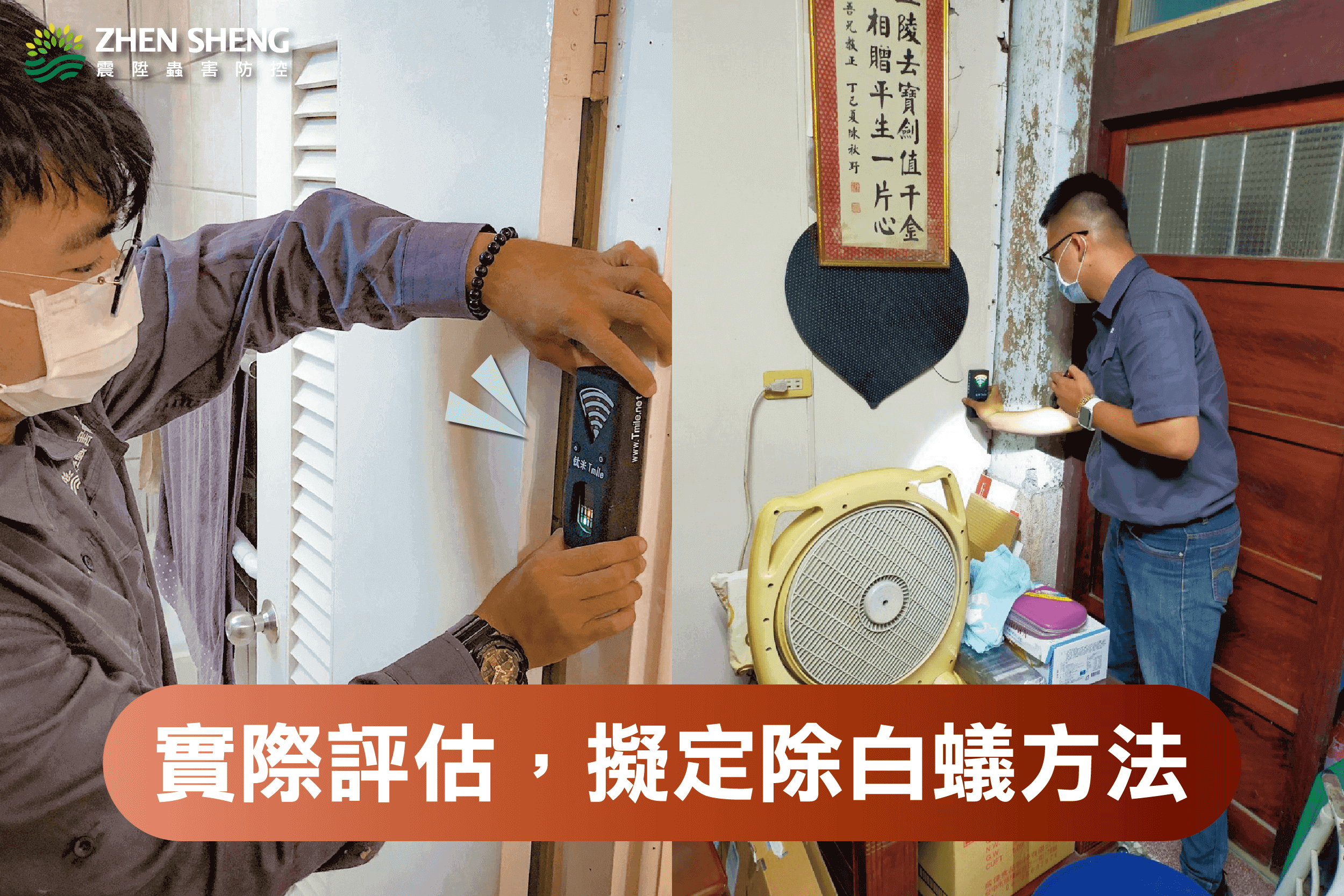 震陞除蟲專家-除白蟻實際評估，擬定除白蟻方法