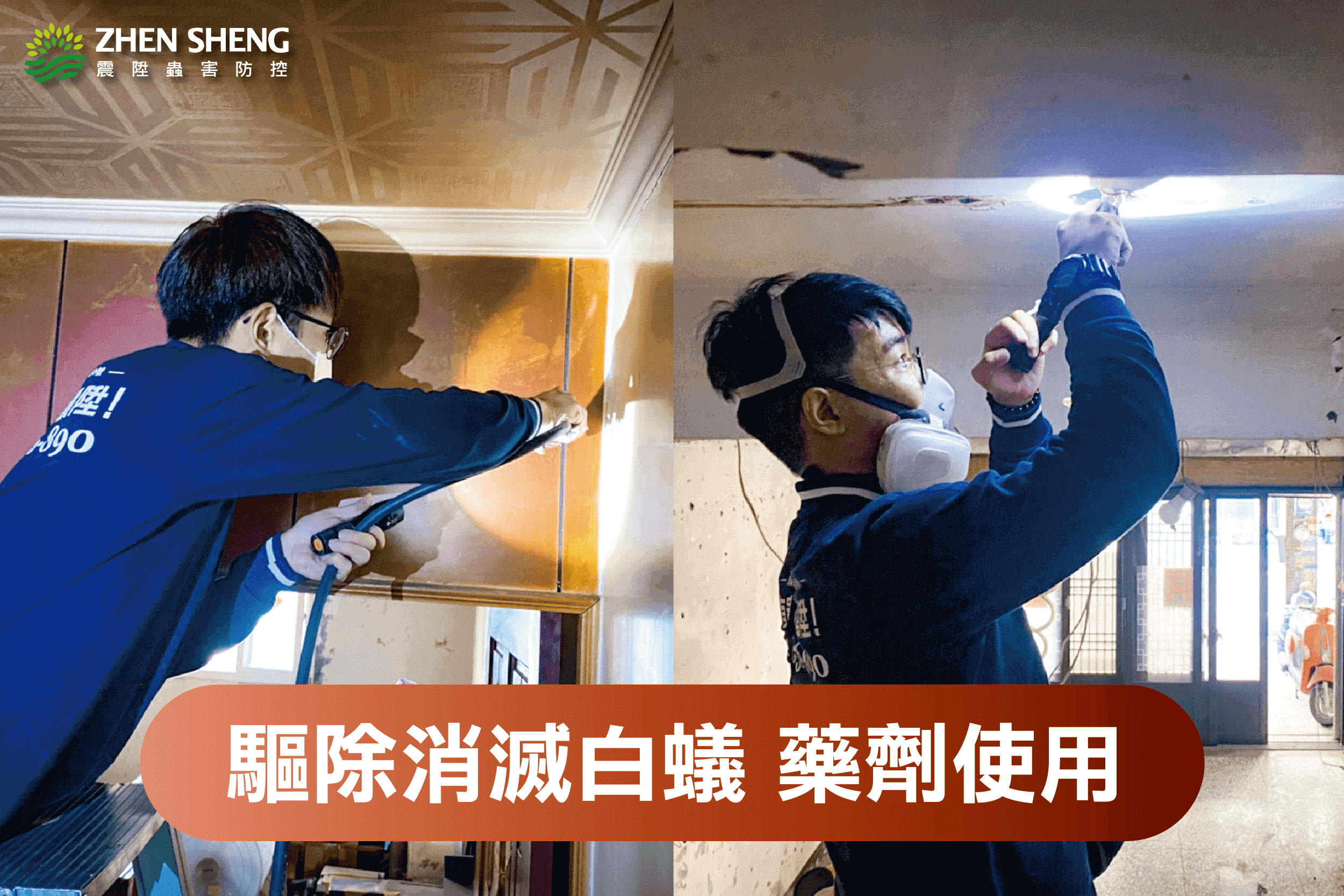 震陞除蟲專家-驅除消滅白蟻藥劑使用