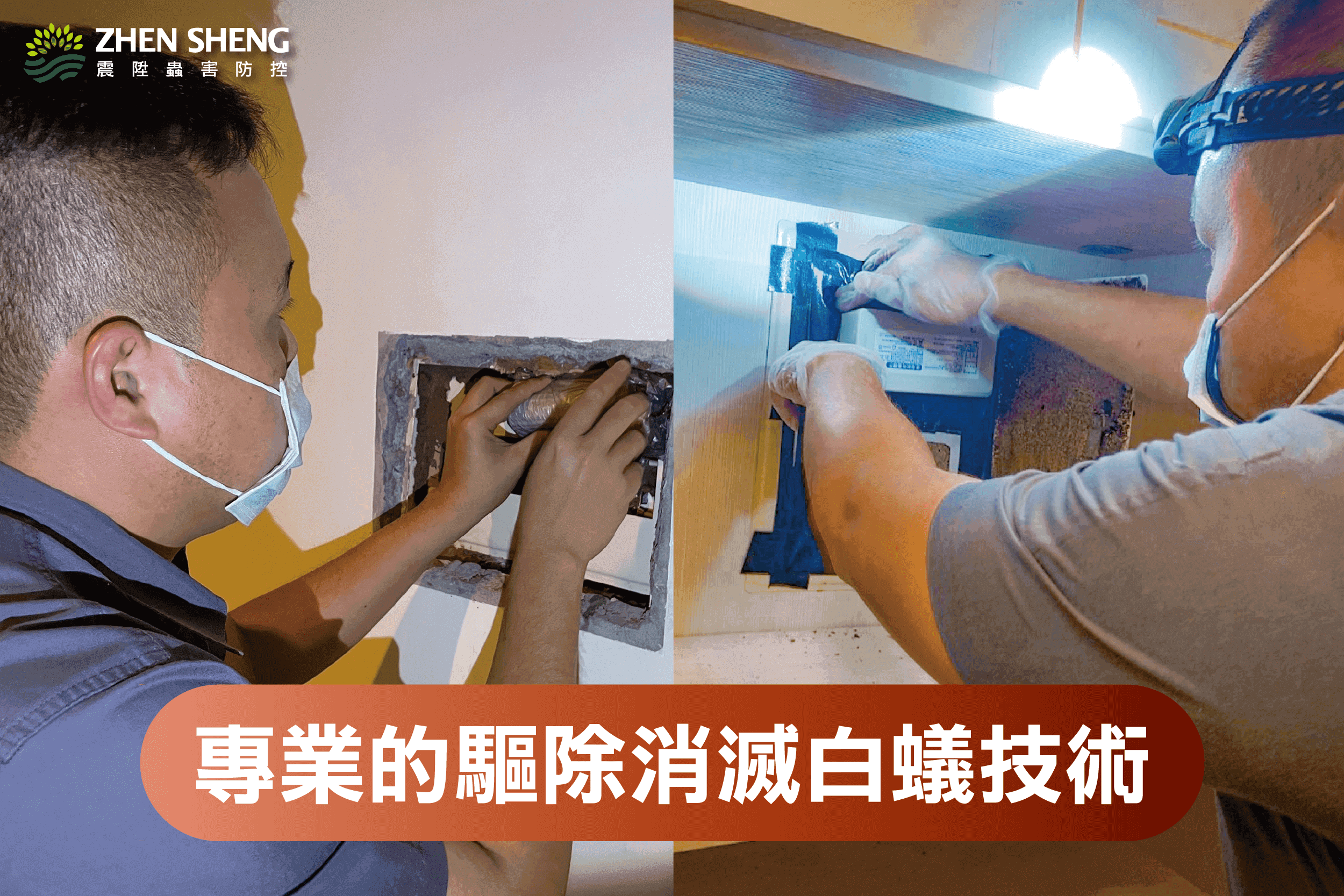 震陞除蟲專家-專業的驅除消滅白蟻技術