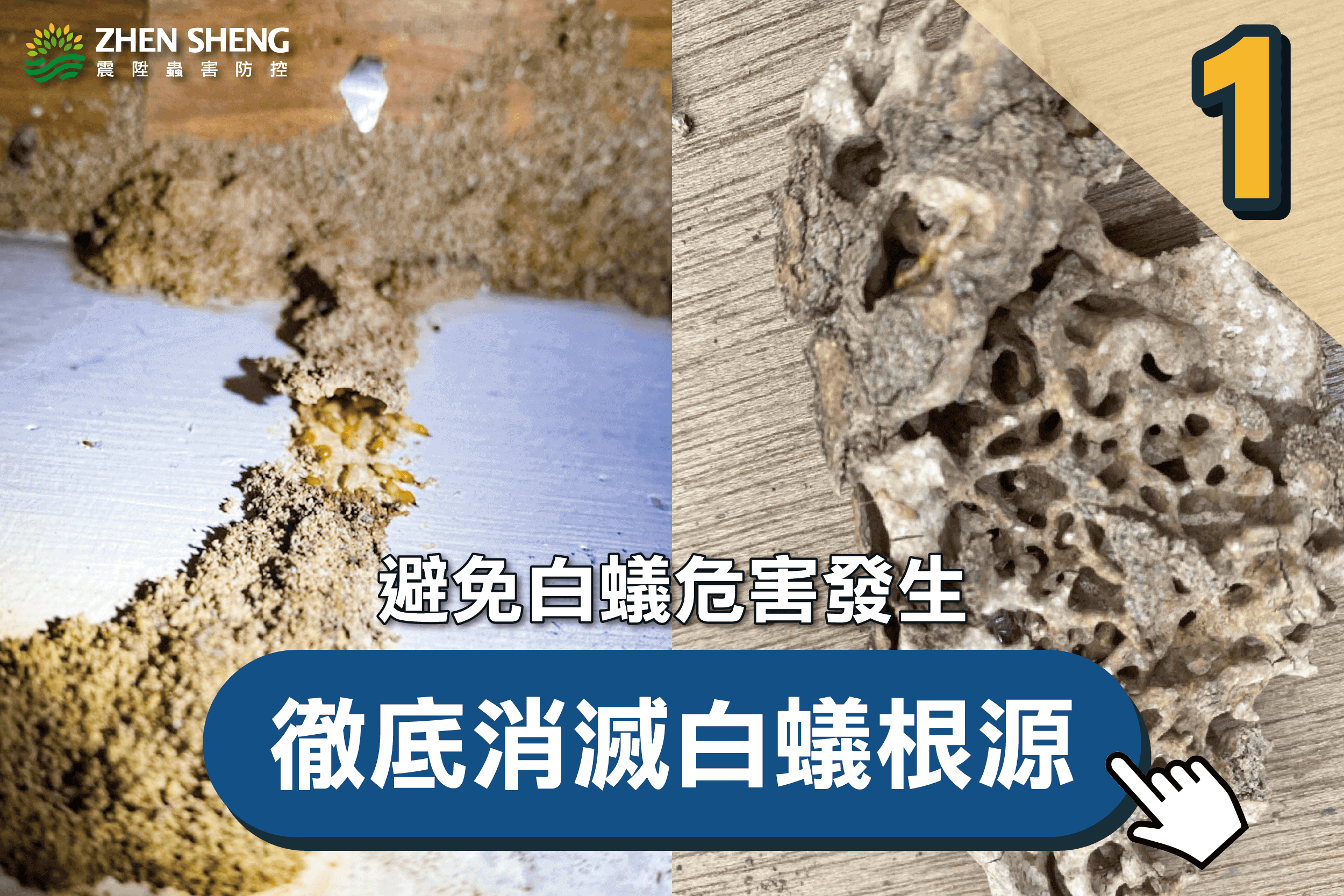 除白蟻公司推薦-震陞蟲害防控-震陞除蟲專家—白蟻知識推薦，避免白蟻危害發生，徹底消滅白蟻根源