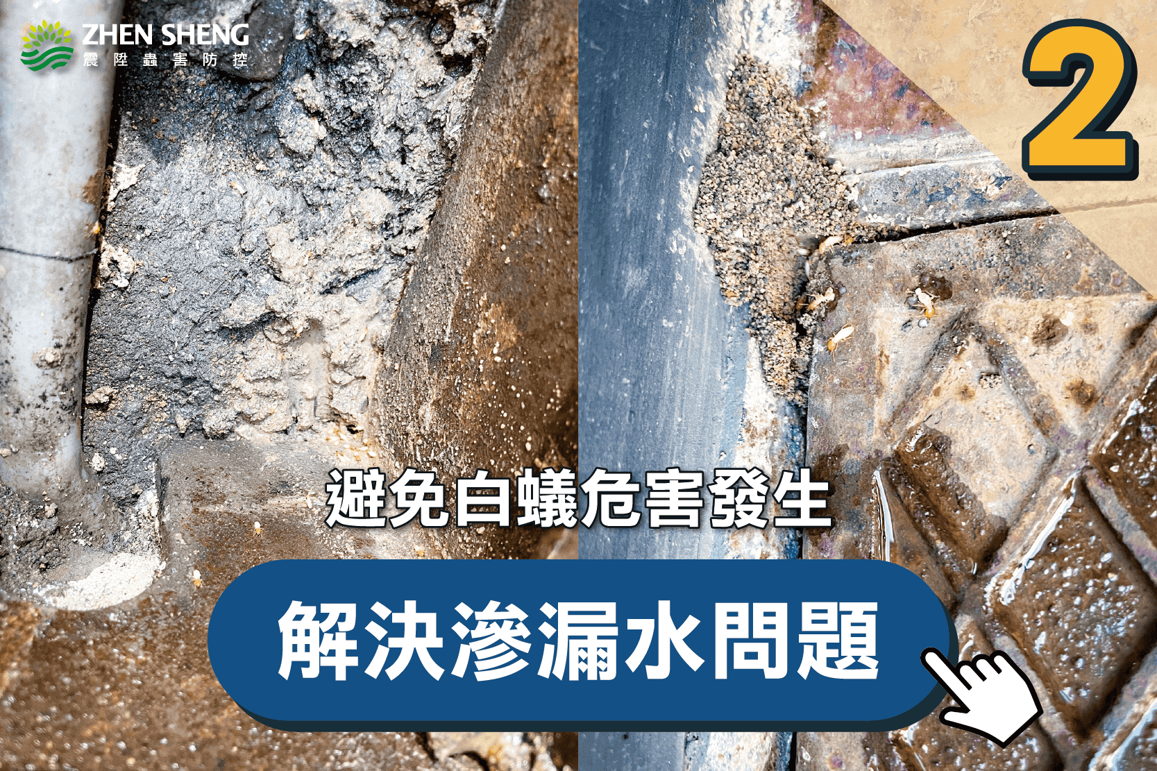 除白蟻公司推薦-震陞蟲害防控-震陞除蟲專家—白蟻知識推薦，避免白蟻危害發生，解決白蟻滲漏水問題