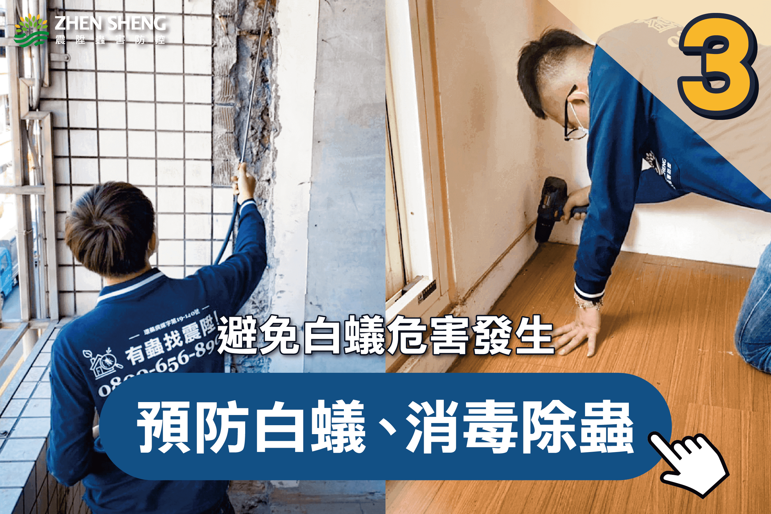 除白蟻公司推薦-震陞蟲害防控-震陞除蟲專家—白蟻知識推薦，避免白蟻危害發生，預防白蟻消毒除蟲