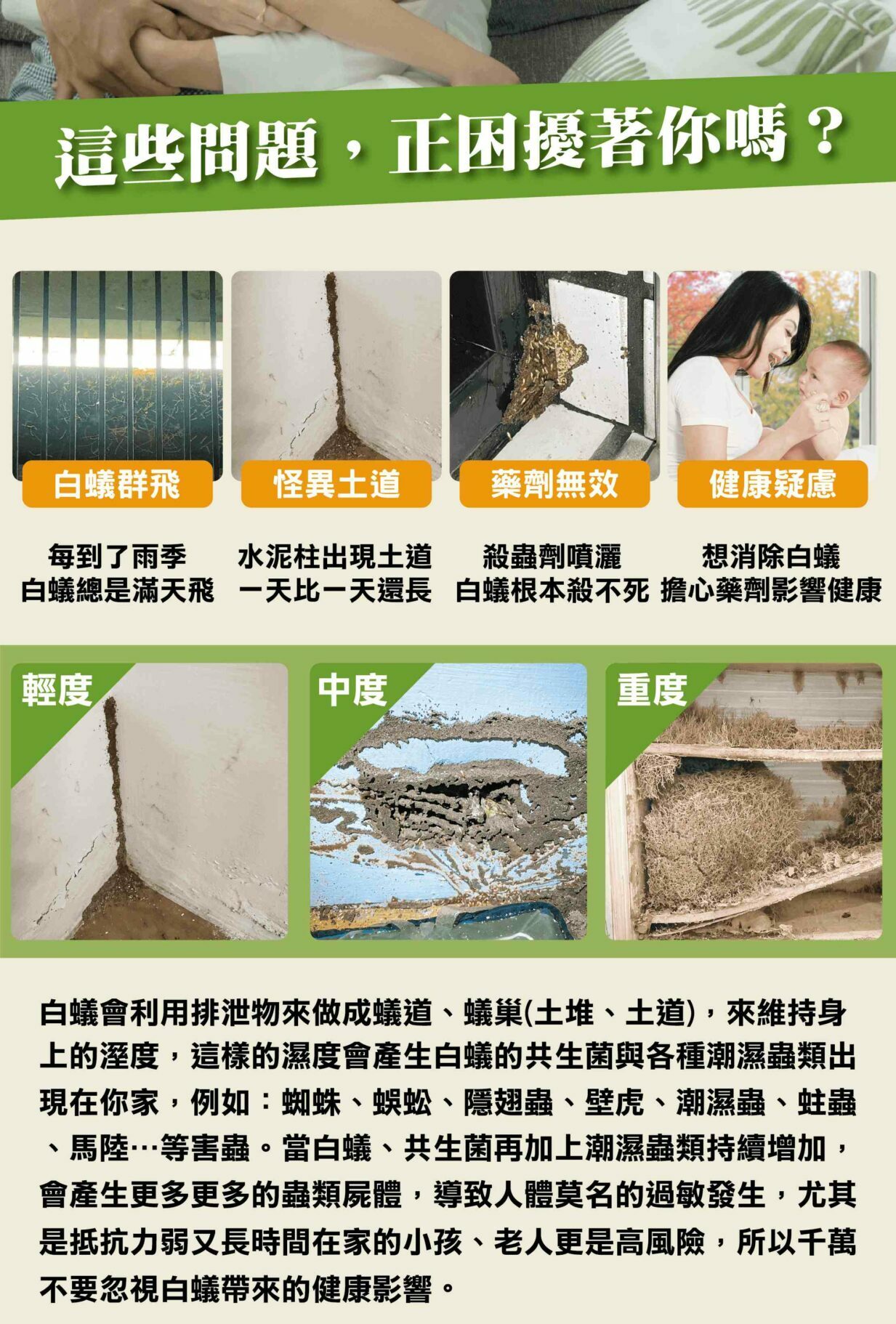 震陞除白蟻專家-白蟻不停飛，蟻道土堆越來越多，白蟻噴殺蟲劑沒效果，擔心除白蟻藥劑危害健康，震陞蟲害防控幫您克服一切白蟻問題