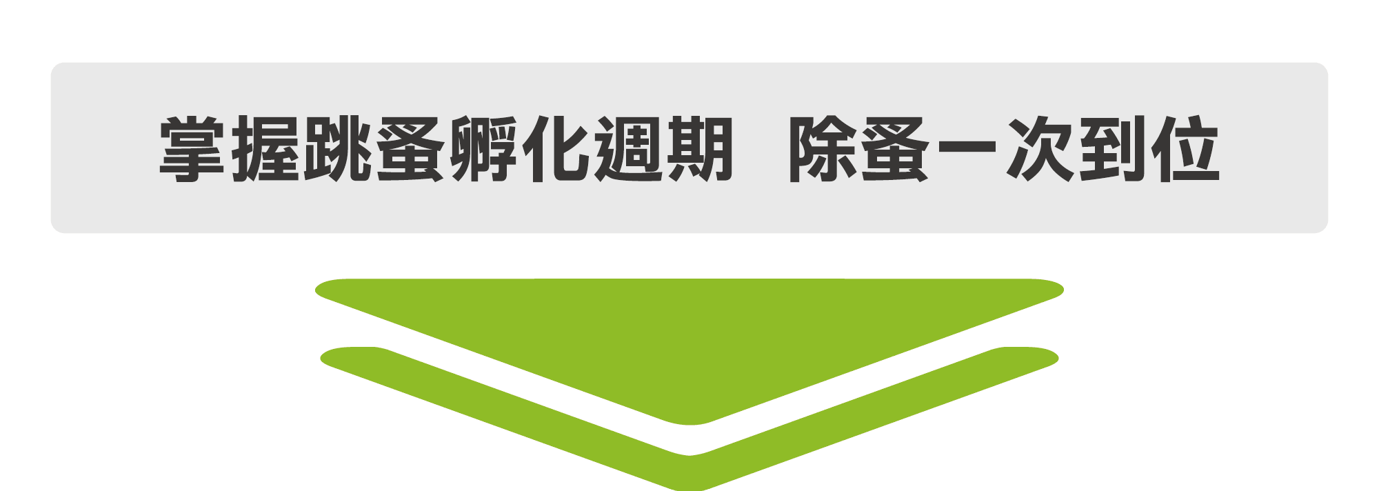 掌握跳蚤源頭，除跳蚤一次到位-電腦版