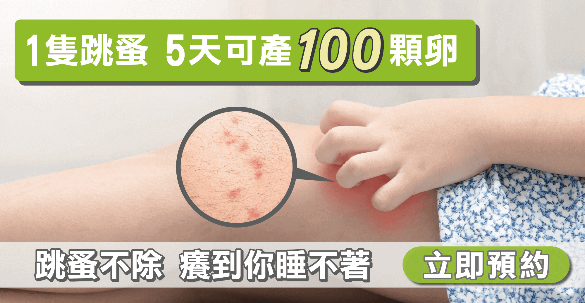 震陞蟲害防控-企業防治_消毒公司定期除蟲鼠，卻沒有解決真正的問題？