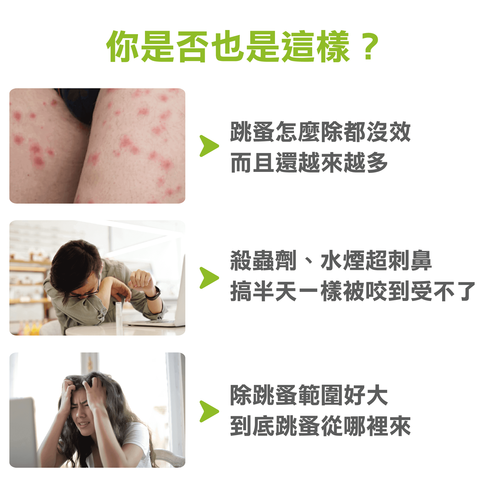你是否也遇到跳蚤除不完，殺蟲劑刺鼻，跳蚤從哪裡來