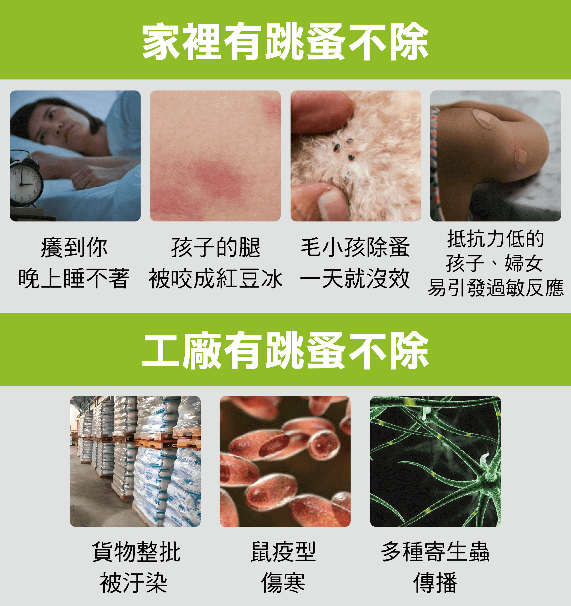 家裡有跳蚤不除的影響，工廠有跳蚤不除的影響