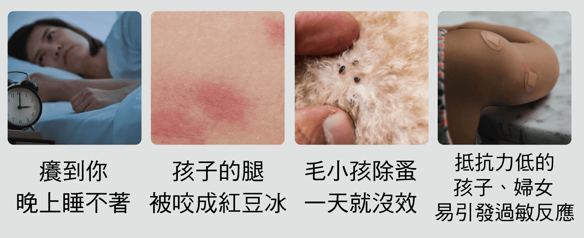 家裡有跳蚤不除的影響 家裡有跳蚤不除的影響