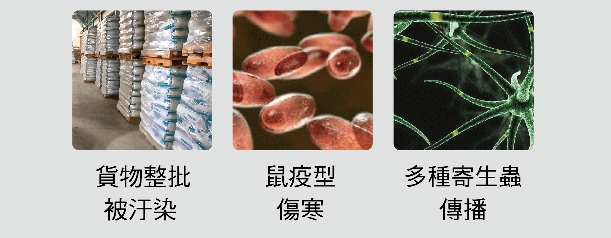 工廠有跳蚤不除的影響 工廠有跳蚤不除的影響
