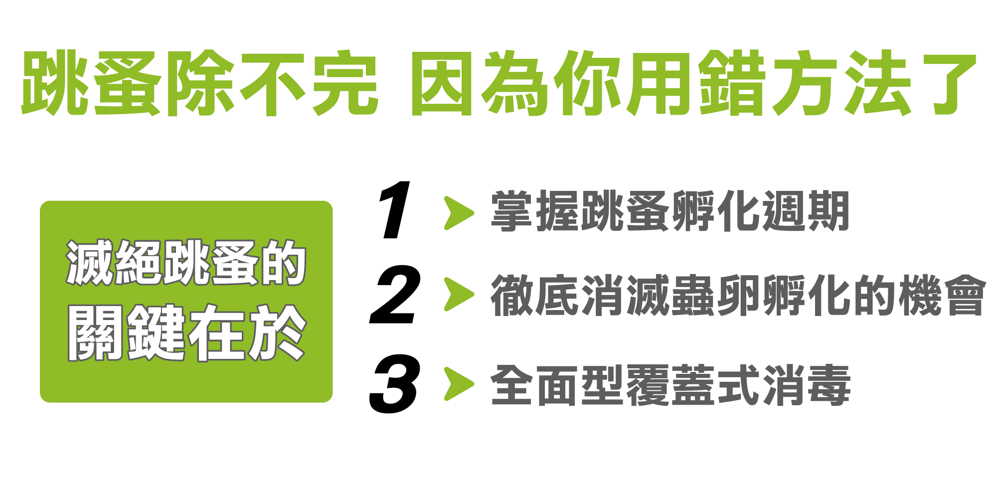 跳蚤除不完,因為你用錯方法消滅區除跳蚤了 跳蚤除不完,因為你用錯方法消滅區除跳蚤了