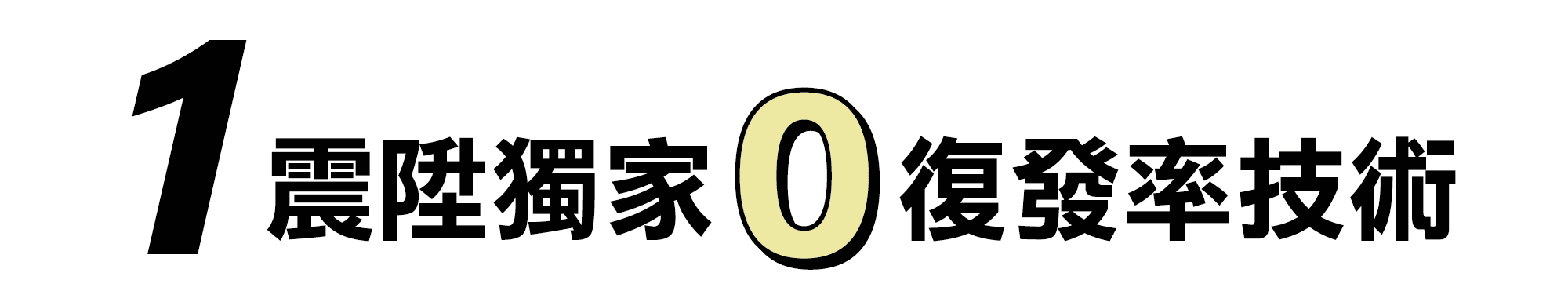 除跳蚤方法,震陞獨家0復發率除跳蚤技術-電腦 除跳蚤方法,震陞獨家0復發率除跳蚤技術-電腦