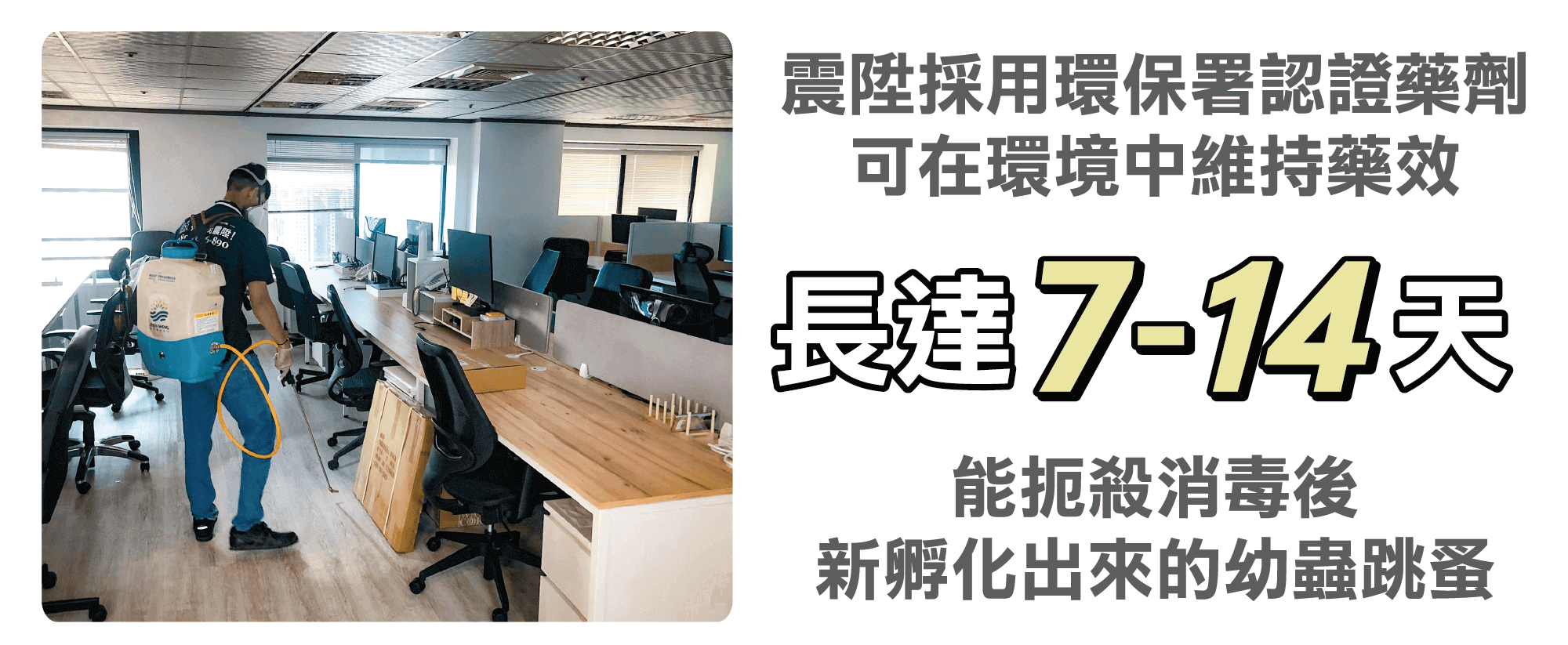震陞採用環保署認可除跳蚤藥劑,可在環境中維持藥效長達7-14天 震陞採用環保署認可除跳蚤藥劑,可在環境中維持藥效長達7-14天