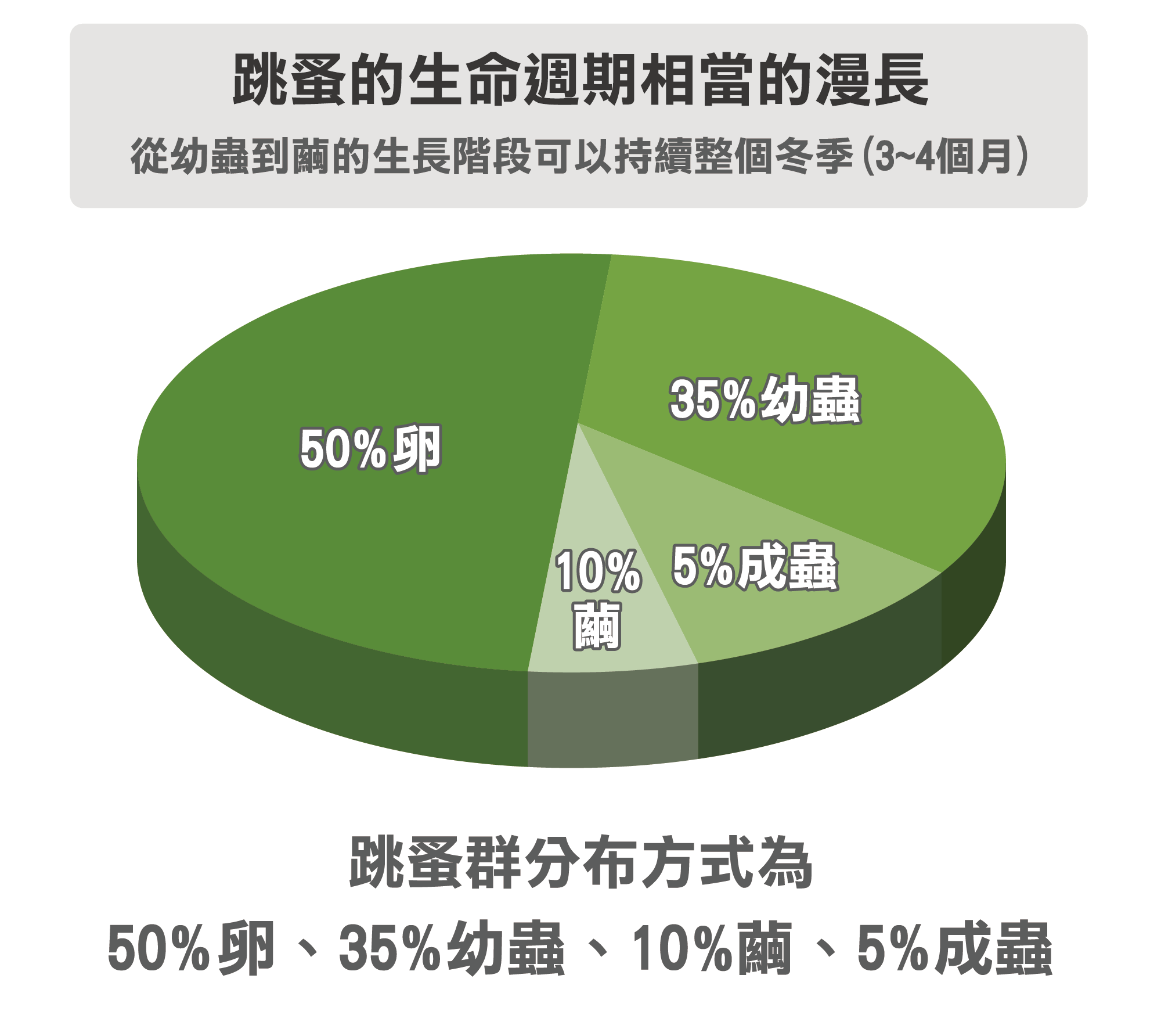 跳蚤的生命週期相當漫長 跳蚤的生命週期相當漫長