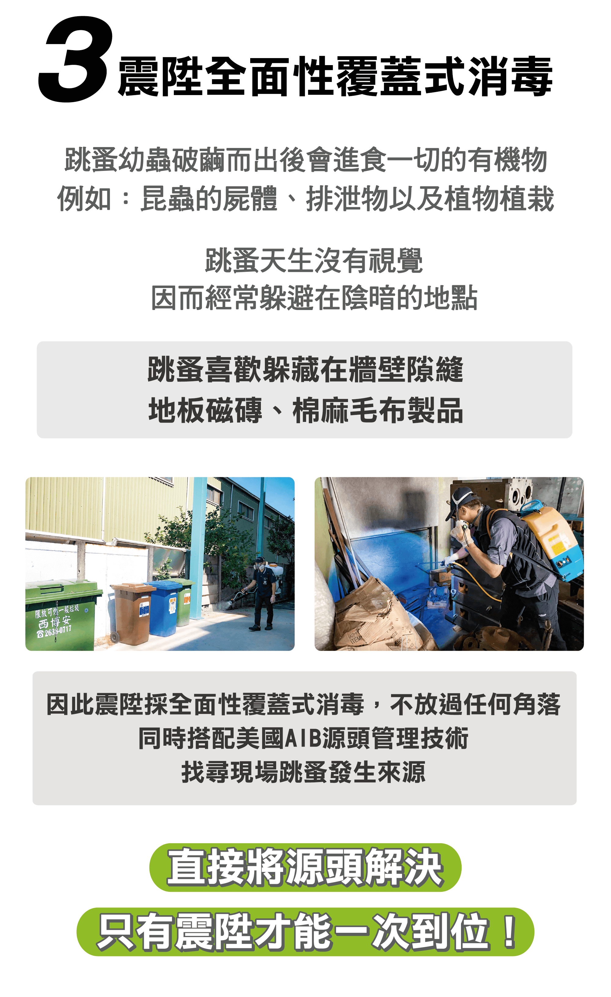 除跳蚤方法,震陞全面性覆蓋式消毒跳蚤 除跳蚤方法,震陞全面性覆蓋式消毒跳蚤