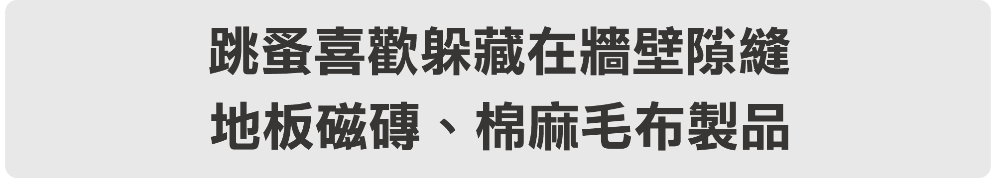 跳蚤喜歡躲藏在牆壁隙縫、地板磁磚、棉麻毛布製品 跳蚤喜歡躲藏在牆壁隙縫、地板磁磚、棉麻毛布製品